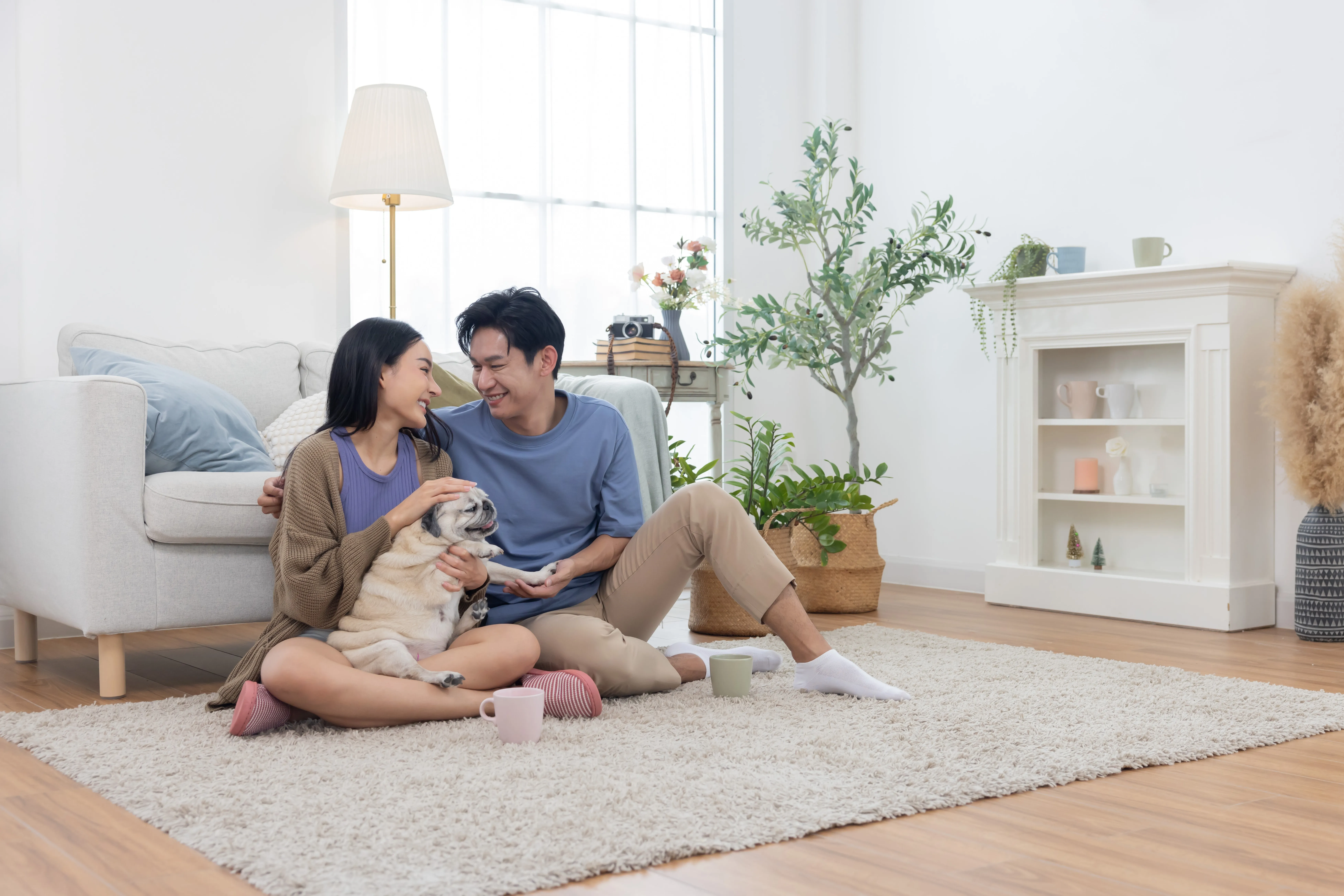 Banner News and Blog | Peace & Living