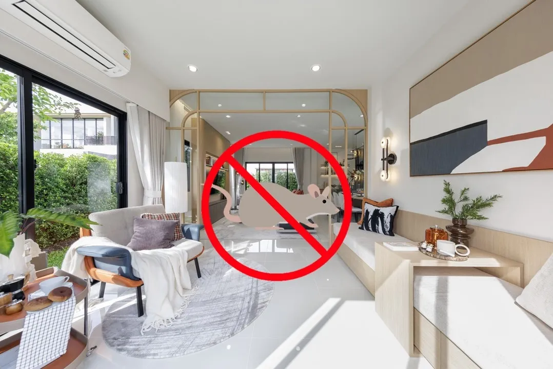 Banner News and Blog | Peace & Living