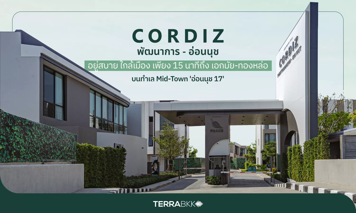 Related Article Thumbnail | Peace & Living