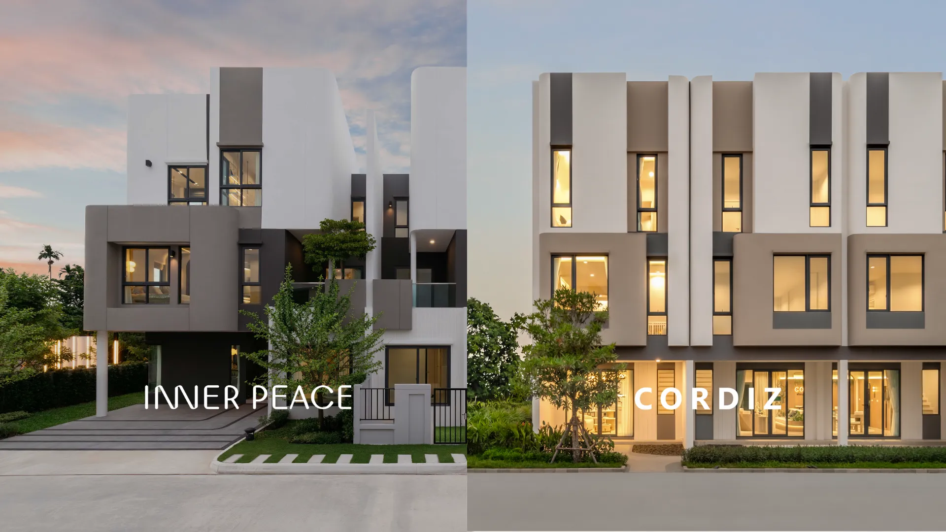Banner News and Blog | Peace & Living